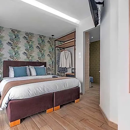 Maison 66, Riviera